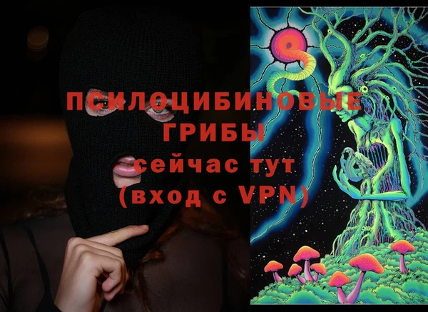 ГАЛЛЮЦИНОГЕННЫЕ ГРИБЫ Абдулино