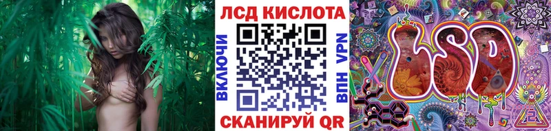 Наркотические марки 1,5мг  сколько стоит  Грозный 