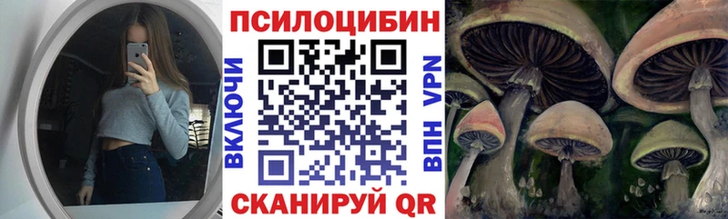 сайты даркнета как зайти Грозный Псилоцибиновые грибы GOLDEN TEACHER